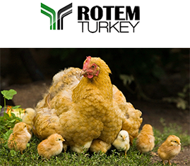 Monocalcium Phosphate