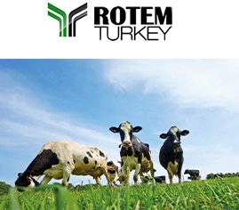 Monodicalcium Phosphate